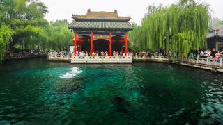 趵突泉 景点图 69_5