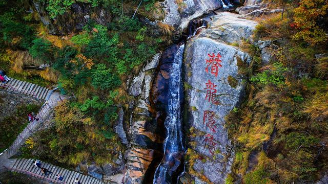 临安大明山秋天红叶节