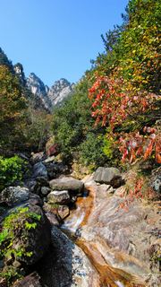 临安大明山秋天红叶节 景点图 76_2