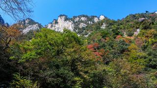 临安大明山秋天红叶节 景点图 76_5