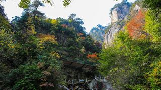 临安大明山秋天红叶节 景点图 76_6