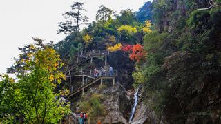 临安大明山秋天红叶节 景点图 76_8