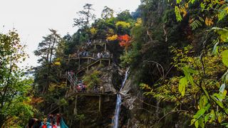 临安大明山秋天红叶节 景点图 76_9