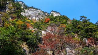 临安大明山秋天红叶节 景点图 76_10