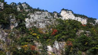 临安大明山秋天红叶节 景点图 76_11