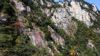 临安大明山秋天红叶节 景点图 76_13