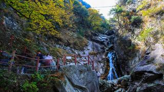 临安大明山秋天红叶节 景点图 76_14