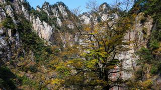 临安大明山秋天红叶节 景点图 76_18