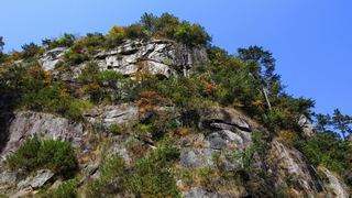 临安大明山秋天红叶节 景点图 76_19
