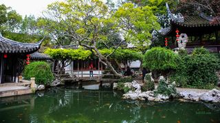 同里古镇 景点图 79_6