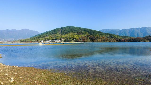 奇墅湖、协里山庄、三棵树