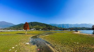奇墅湖、协里山庄、三棵树 景点图 81_2