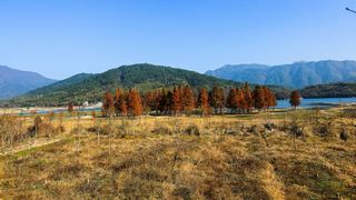 奇墅湖、协里山庄、三棵树 景点图 81_5