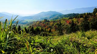 奇墅湖、协里山庄、三棵树 景点图 81_6