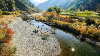 奇墅湖、协里山庄、三棵树 景点图 81_9
