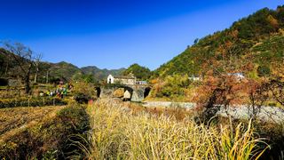 奇墅湖、协里山庄、三棵树 景点图 81_12