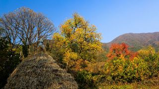 塔川秋色 景点图 82_2