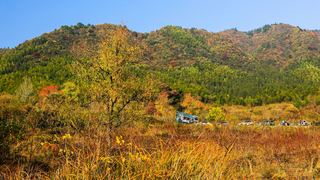 塔川秋色 景点图 82_7