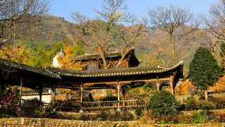 塔川秋色 景点图 82_9