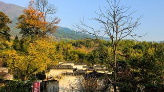 塔川秋色 景点图 82_10