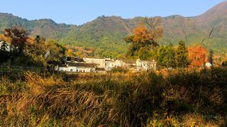塔川秋色 景点图 82_12