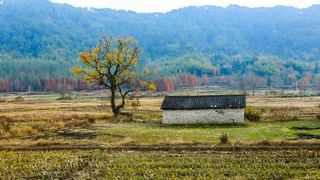 塔川秋色 景点图 82_18