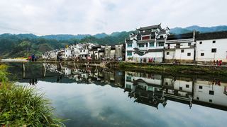 婺源 菊径村、黄村 景点图 84_4