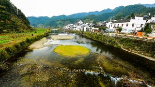 婺源 菊径村、黄村 景点图 84_10