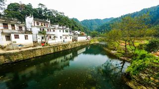 婺源 菊径村、黄村 景点图 84_11