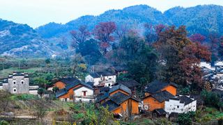 婺源 石城程村 景点图 85_2