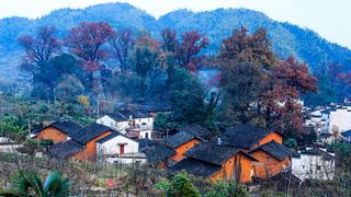 婺源 石城程村 景点图 85_3