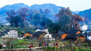 婺源 石城程村 景点图 85_12