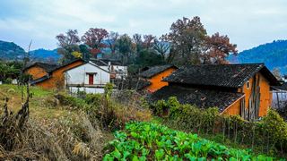 婺源 石城程村 景点图 85_13