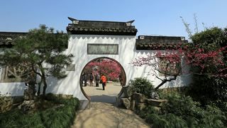 植物园·灵峰探梅 2013春天 景点图 86_3