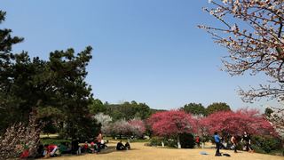 植物园·灵峰探梅 2013春天 景点图 86_6