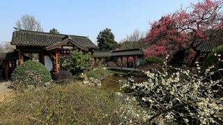 植物园·灵峰探梅 2013春天 景点图 86_12