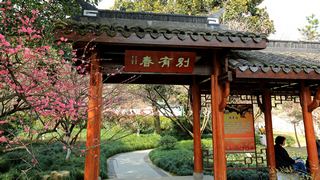 植物园·灵峰探梅 2013春天 景点图 86_13