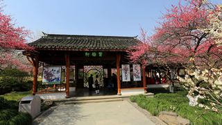 植物园·灵峰探梅 2013春天 景点图 86_15