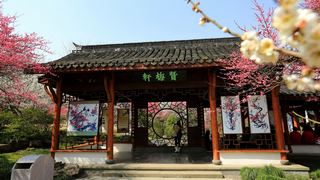 植物园·灵峰探梅 2013春天 景点图 86_16