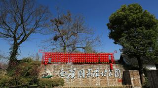 西溪梅墅·西溪湿地梅花 2013春天 景点图 87_2