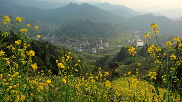 歙县霞坑镇石潭村春天油菜花