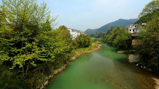 歙县霞坑镇石潭村春天油菜花 景点图 88_2