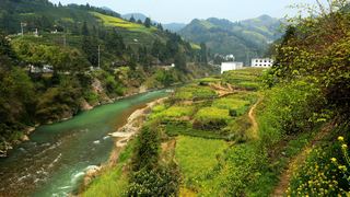歙县霞坑镇石潭村春天油菜花 景点图 88_3