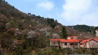 浙西天池 乐利峰 景点图 90_15