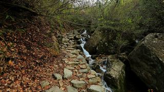 吴越古道 景点图 91_5