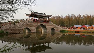 李中水上森林 景点图 92_2