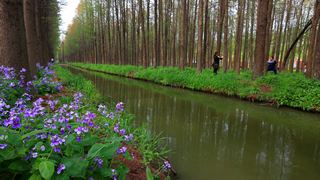 李中水上森林 景点图 92_6
