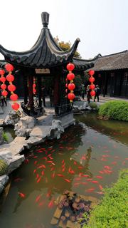 溱潼古镇 景点图 93_3