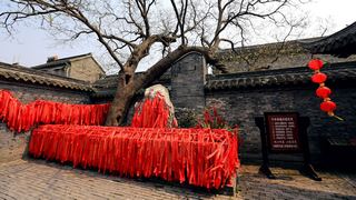 溱潼古镇 景点图 93_16