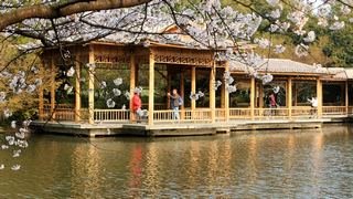 西湖十景春天风景 2013 景点图 95_6